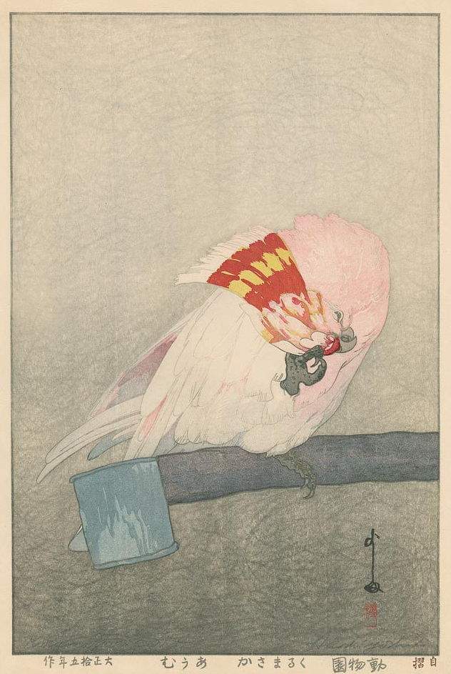 Kurumazaka Parrot woodblock print